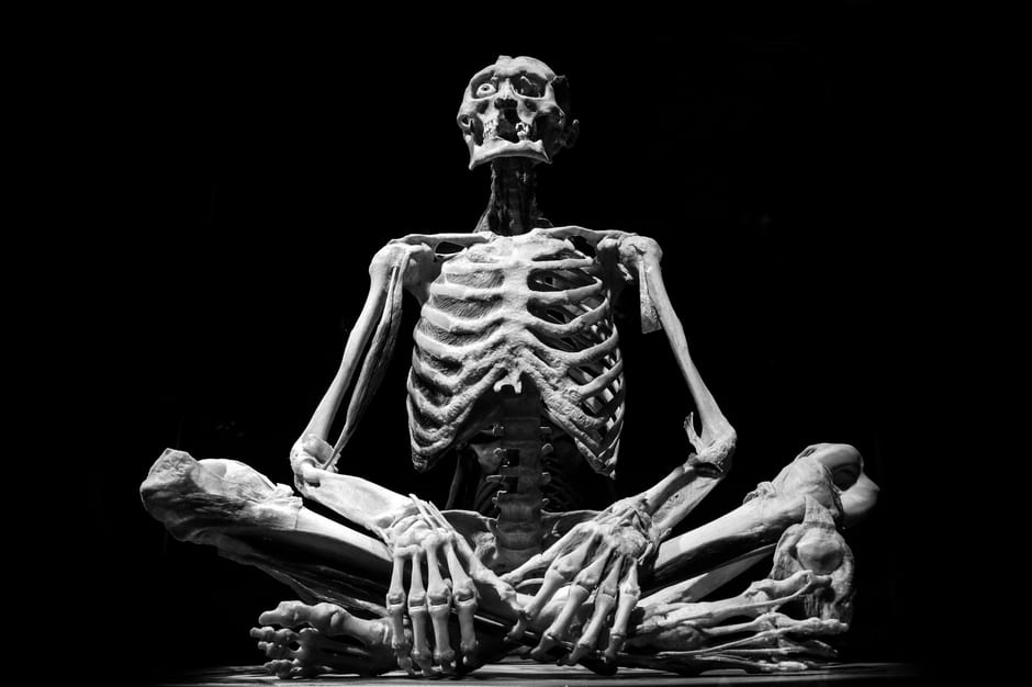 도수치료 실비보험, 연 15회 제한일까? 관련 척추 해부 (참고 이미지)